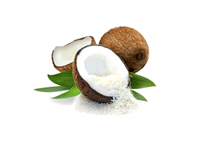 Unsweetened Desiccated Coconut